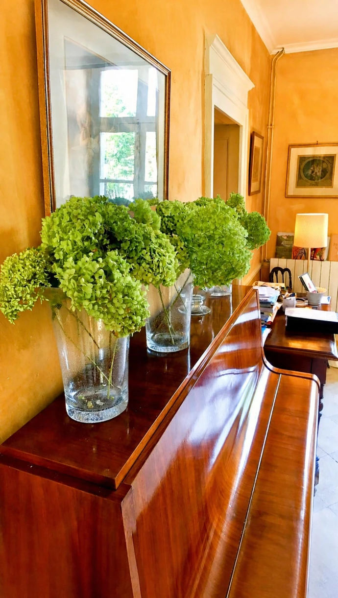 vue d'un piano en bois, orné de quatre vases avec géranium verts, mur couleur safranée