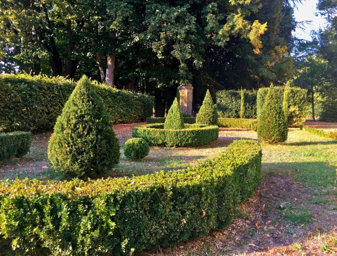 vue du parc à la française avec topiaires et allée de châtaigners immenses